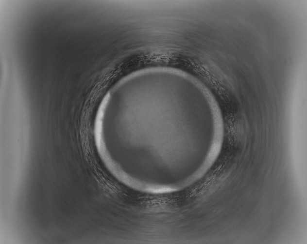 X0000115410769200911101611