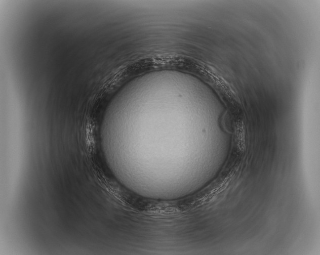 X0000115410770200911101611