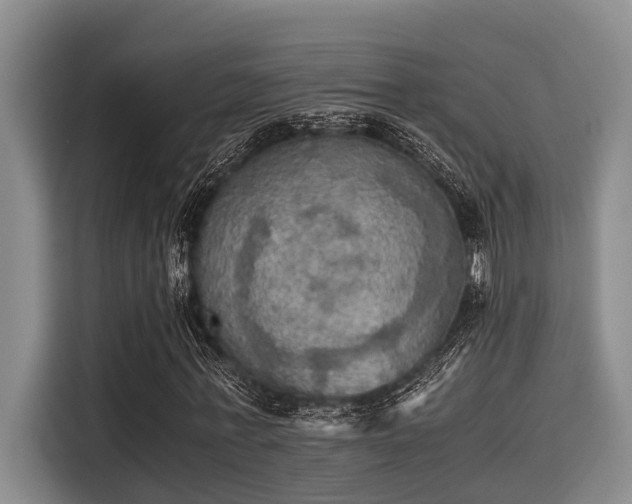 X0000115410771200911101611