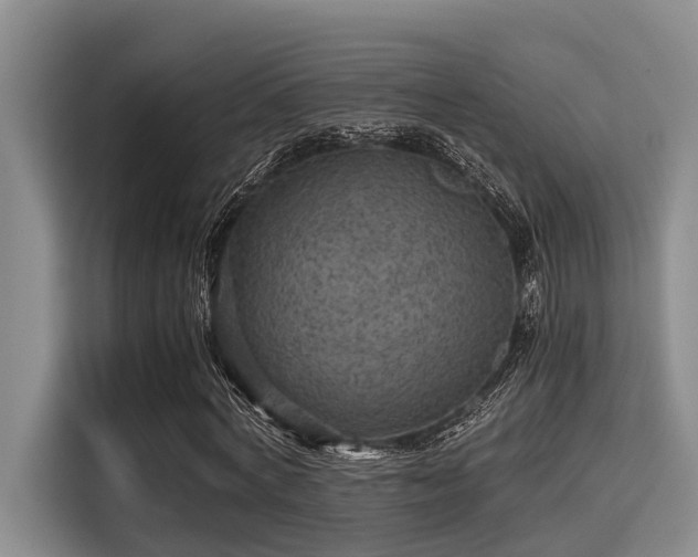 X0000115410772200911101611