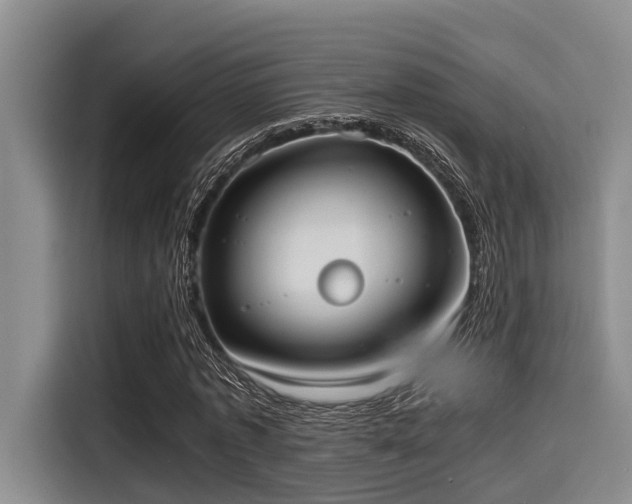 X0000115410773200911101611
