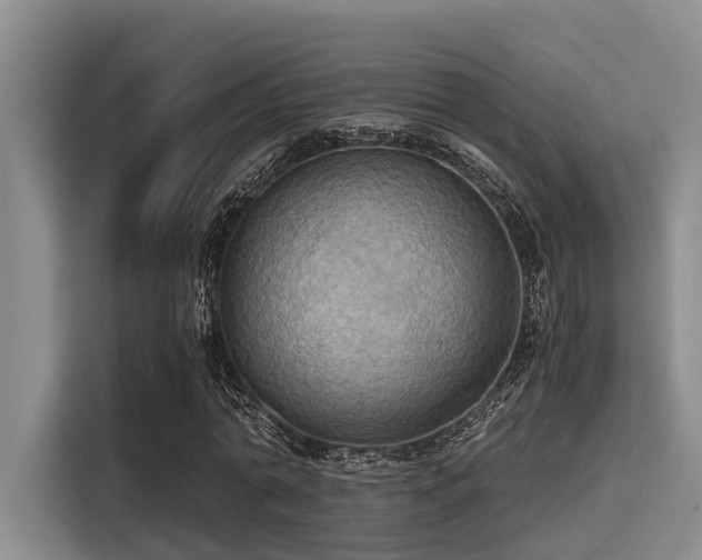 X0000115410774200911101611