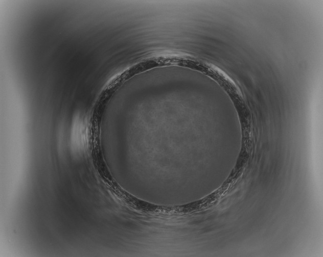 X0000115410775200911101611