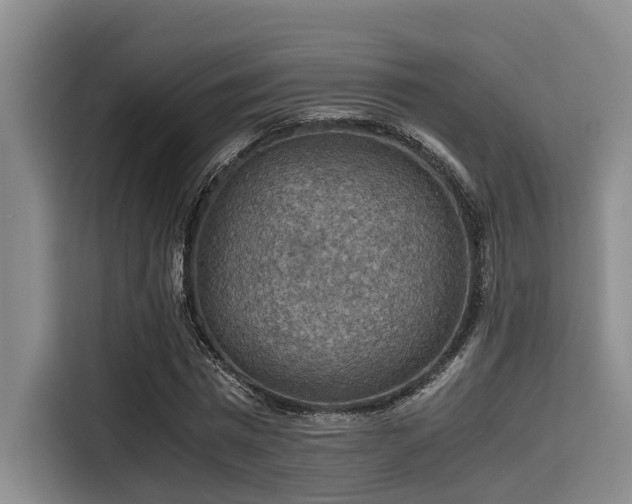 X0000115410777200911101610