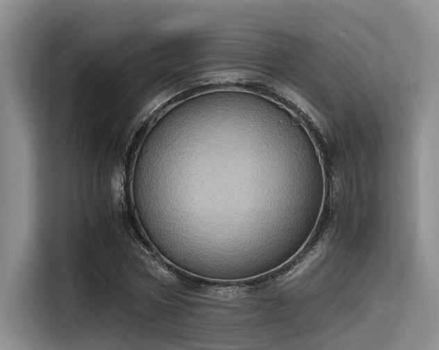 X0000115410778200911101610