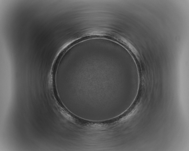 X0000115410779200911101610