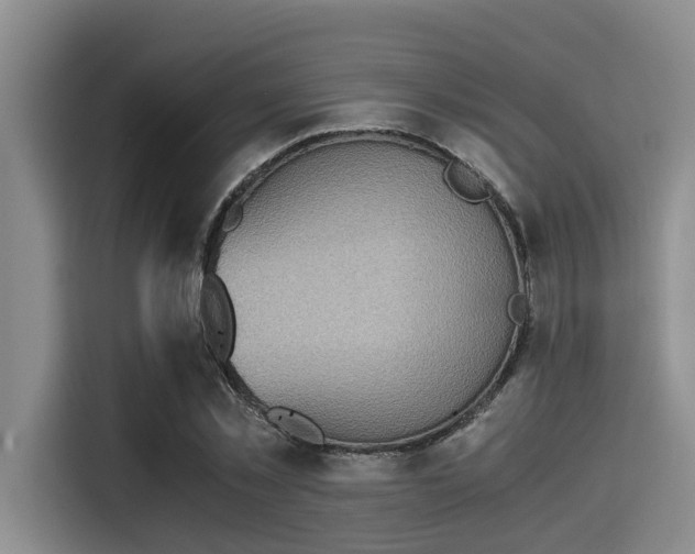 X0000115410781200911101610