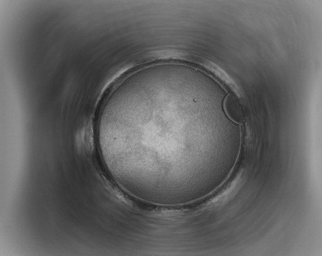 X0000115410782200911101610
