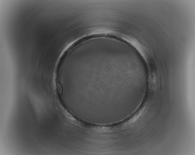 X0000115410783200911101610