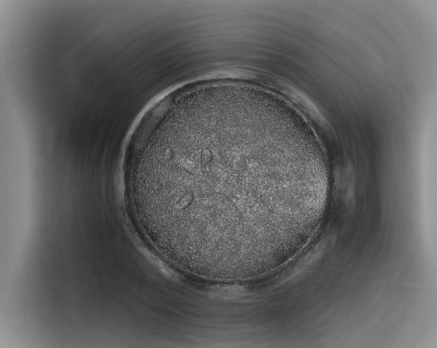 X0000115410784200911101610