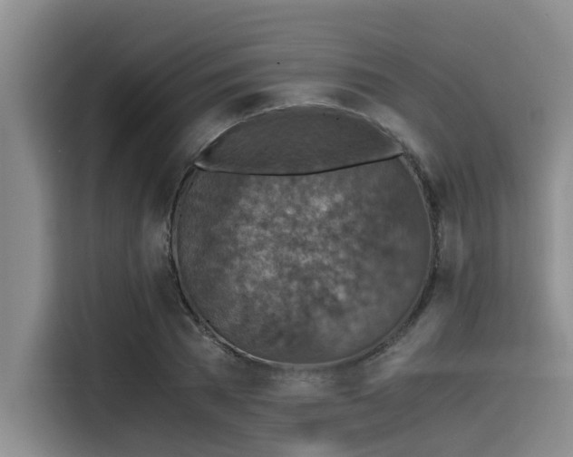 X0000115410785200911101610