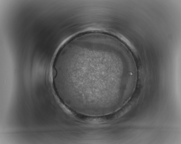 X0000115410791200911101610