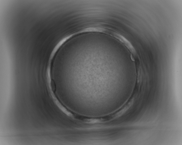 X0000115410796200911101610