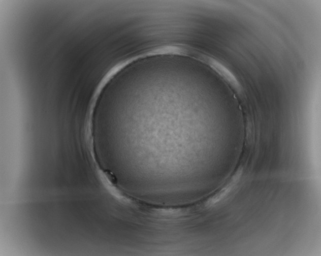 X0000115410800200911101610