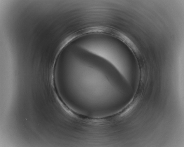X0000115410802200911101610