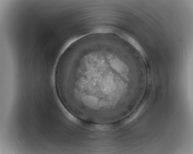 X0000115410803200911101610