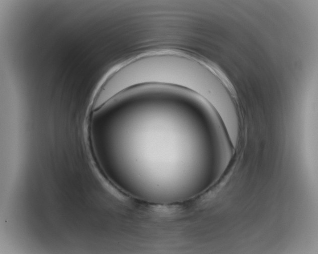 X0000115410805200911101610
