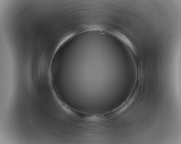 X0000115410806200911101610