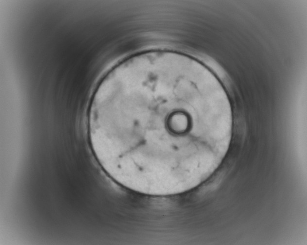 X0000115410807200911101610