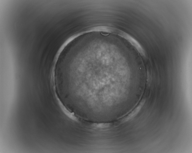 X0000115410808200911101610