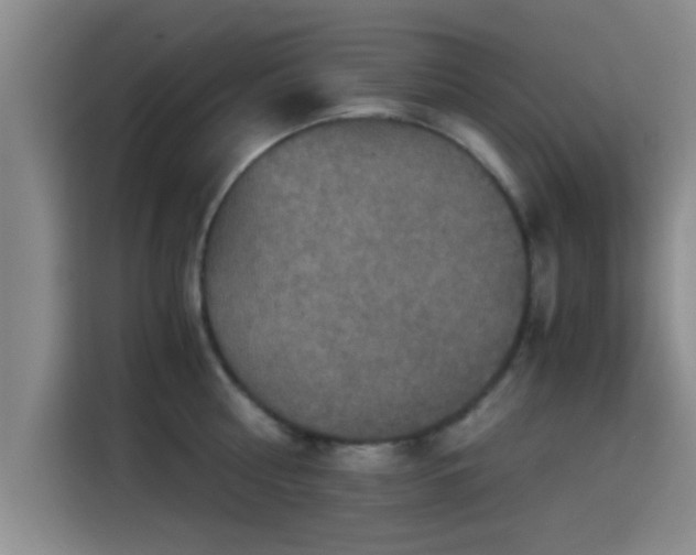 X0000115410810200911101610