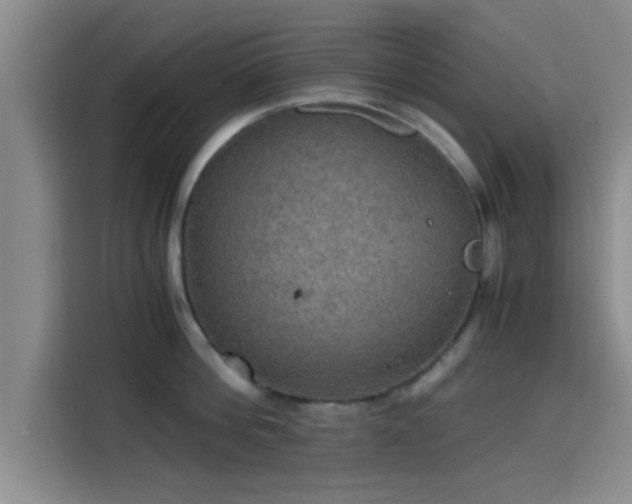 X0000115410812200911101610