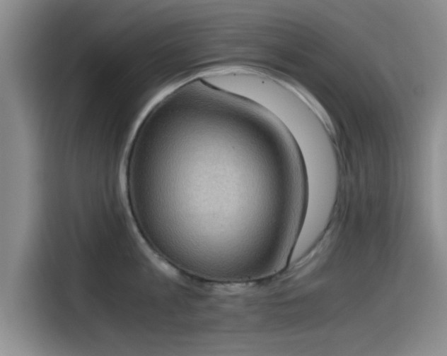 X0000115410813200911101610