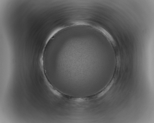 X0000115410814200911101610