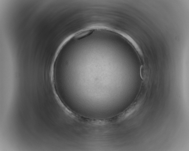 X0000115410815200911101610