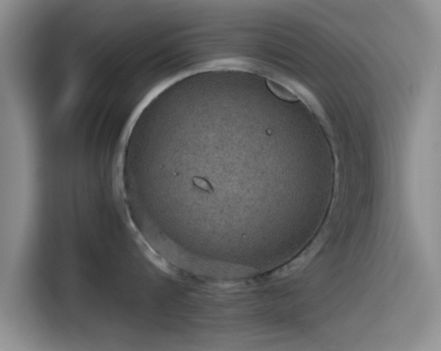 X0000115410816200911101610