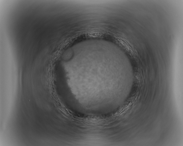 X0000115410817200911101609