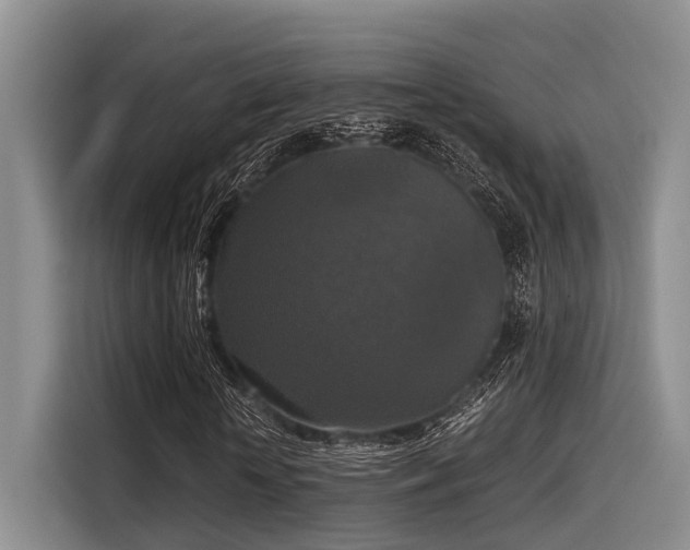 X0000115410818200911101609