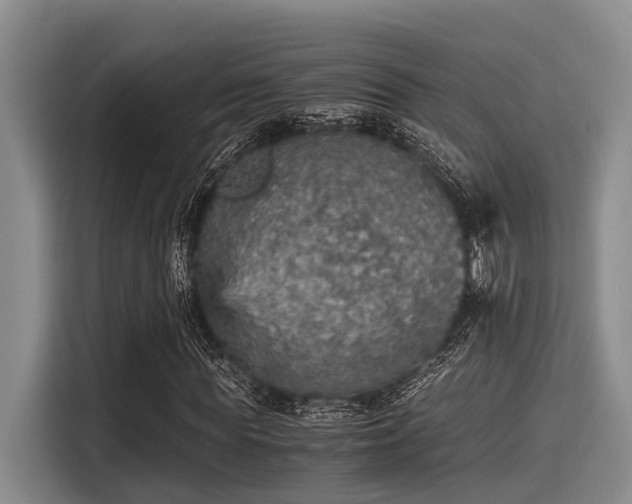 X0000115410819200911101609