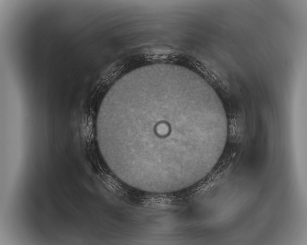 X0000115410820200911101609