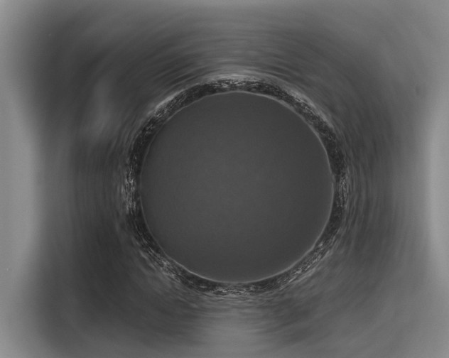X0000115410822200911101609