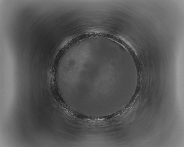 X0000115410823200911101609