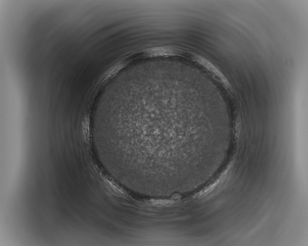 X0000115410825200911101609