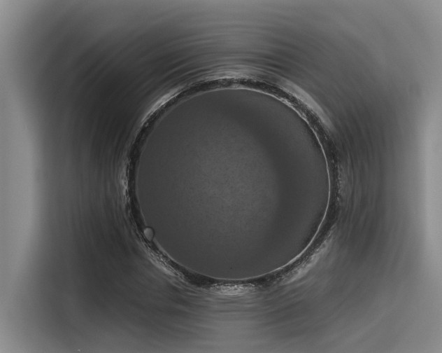 X0000115410826200911101609