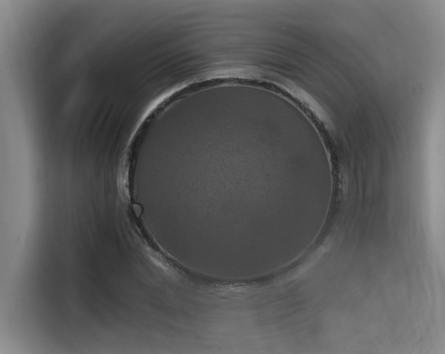 X0000115410830200911101610