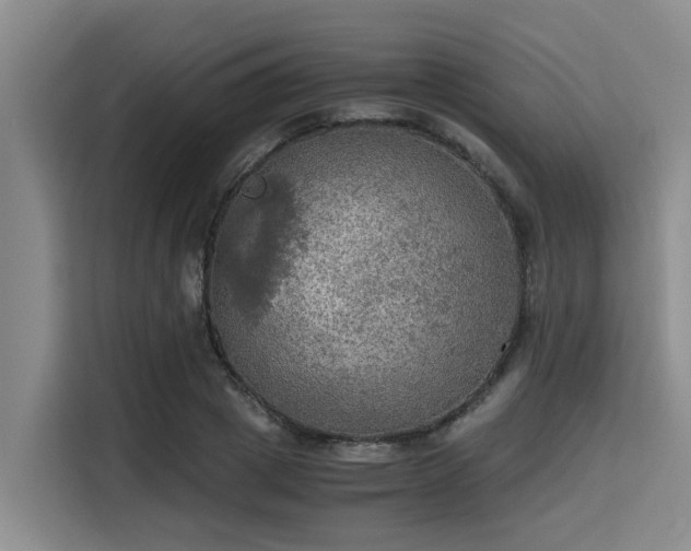 X0000115410833200911101610