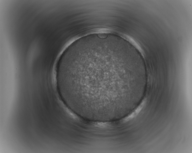 X0000115410835200911101610