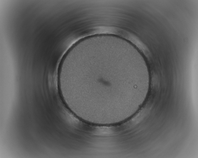 X0000115410836200911101610