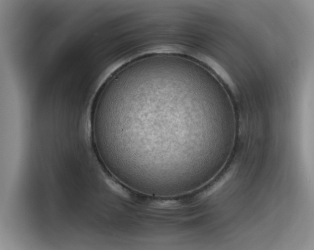 X0000115410837200911101610