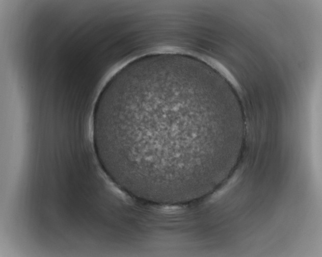 X0000115410839200911101610