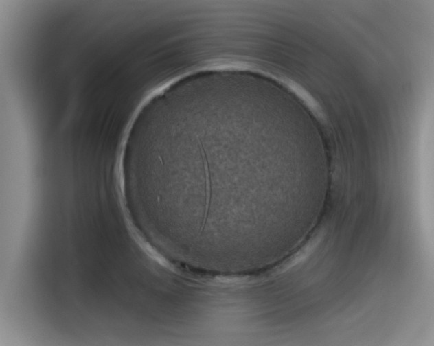 X0000115410840200911101610