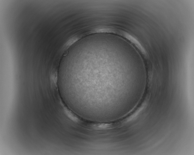 X0000115410841200911101610