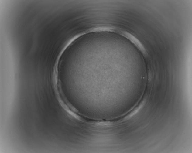 X0000115410844200911101610