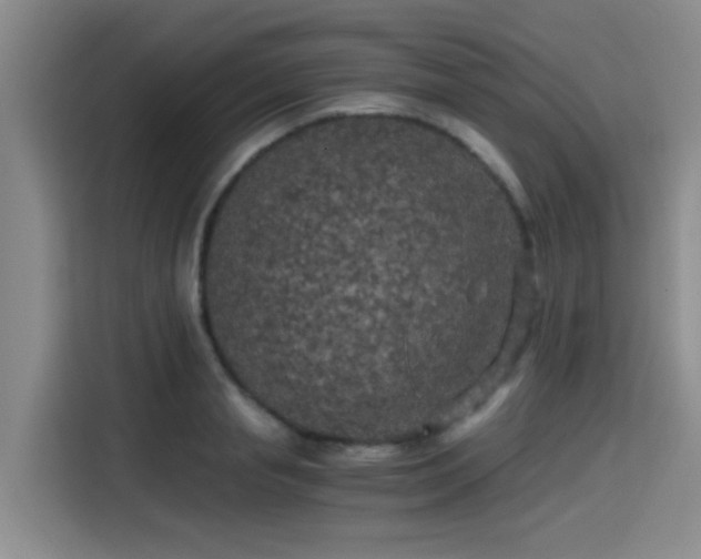 X0000115410845200911101610