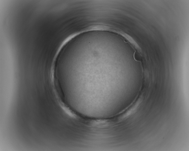 X0000115410846200911101610