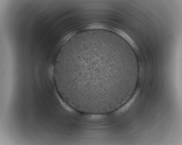 X0000115410849200911101610
